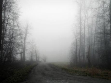 #665